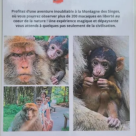 Κάμπινγκ Chez Audrey C21