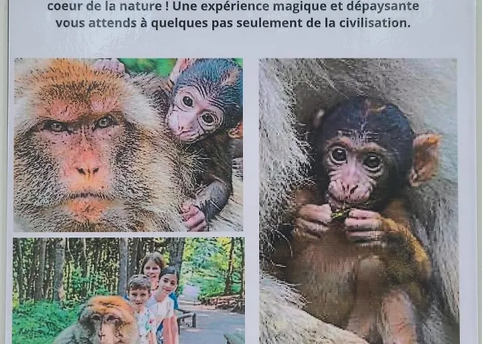 Parque de Campismo Chez Audrey C21
