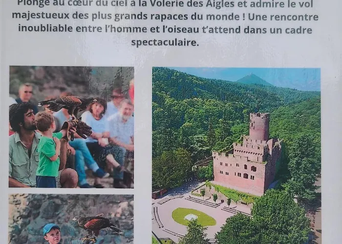 Parque de Campismo Chez Audrey C21 *